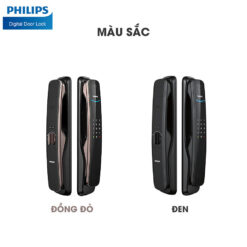 Màu sắc