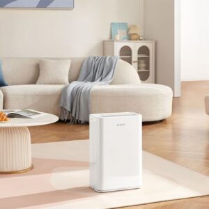 May Hut Am Xiaomi 12l