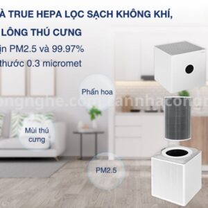 May Loc Khong Khi Xiaomi Mi Air Purifier 4 5
