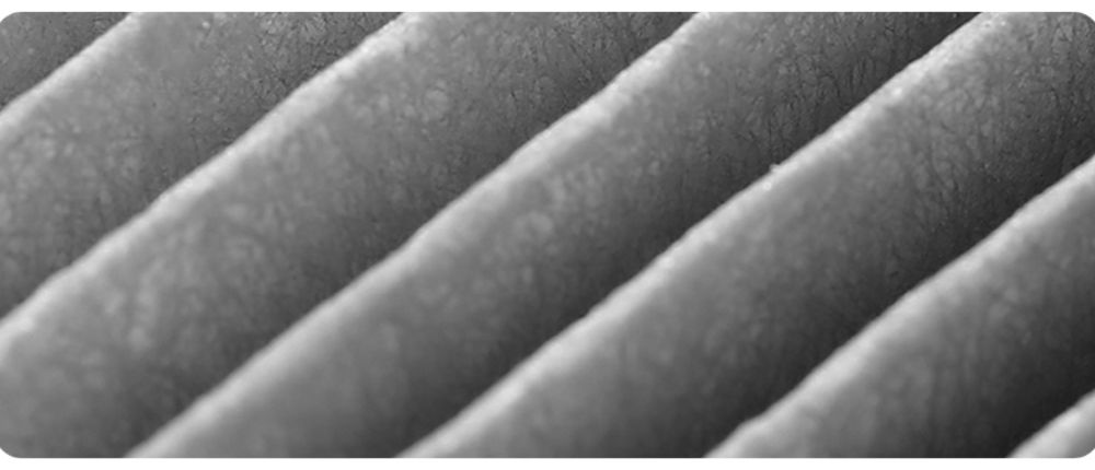 Loi Loc Air Purifier 4 Lite.5