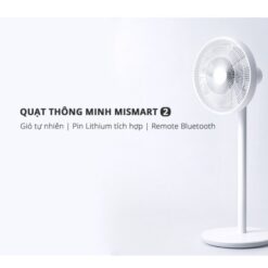 Smartmi Xiaomi Gen 2s(1)