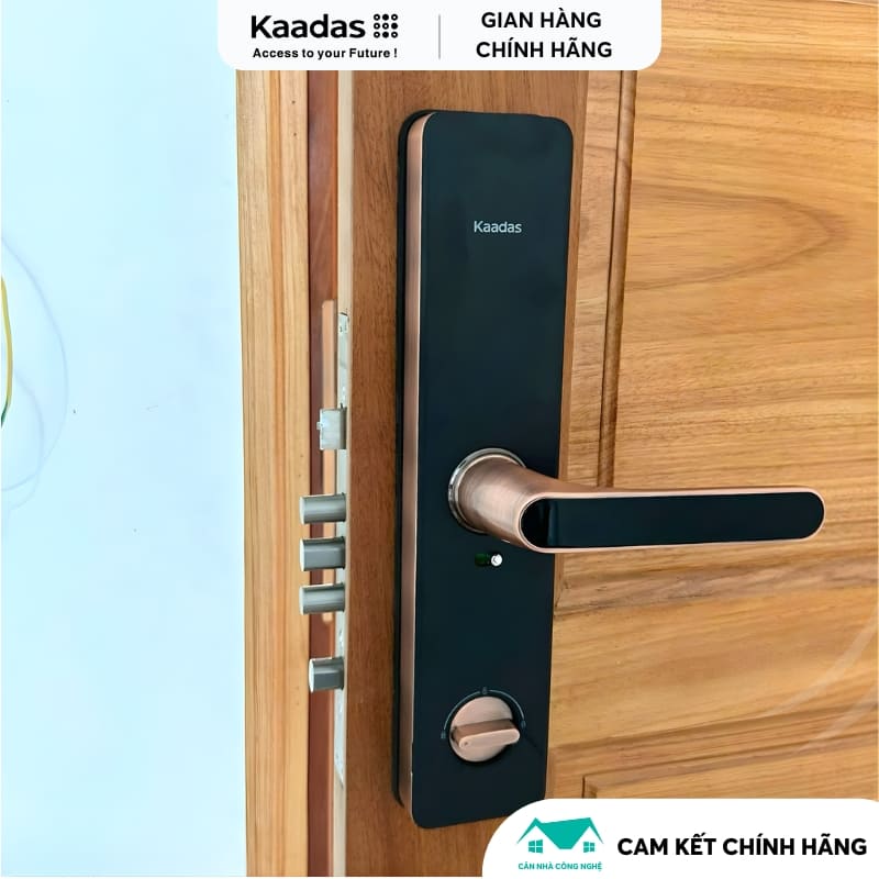 Khóa Vân Tay KAADAS S500C-5W - Kết Nối Wifi - Khoá Cửa Nhập Khẩu Đức - Miễn Phí Lắp Đặt - Ảnh 9