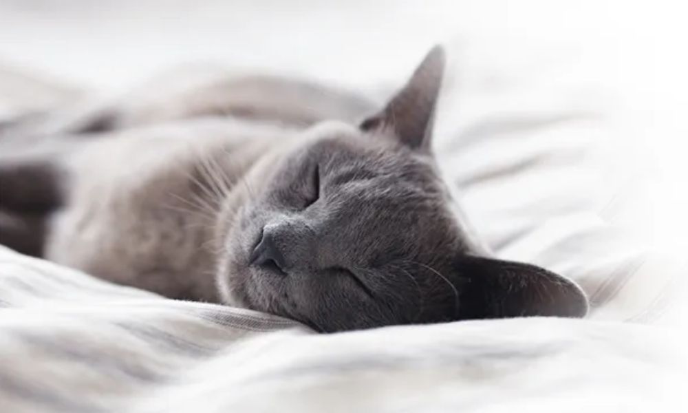 Thiết Kế Chưa Có Tên (4)