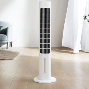 Xiaomi Mijia Zfslfs01dm