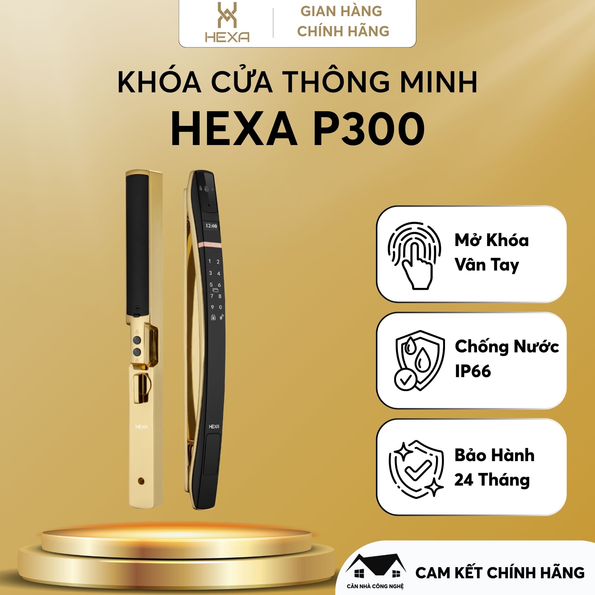 Khóa thông minh Hexa P300