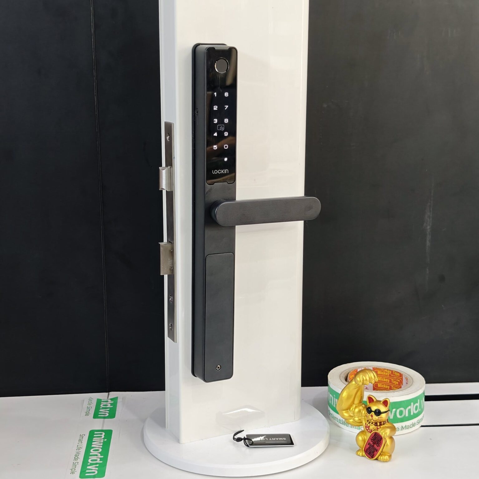 616841915_3430937003723057_5429562008804272957_n